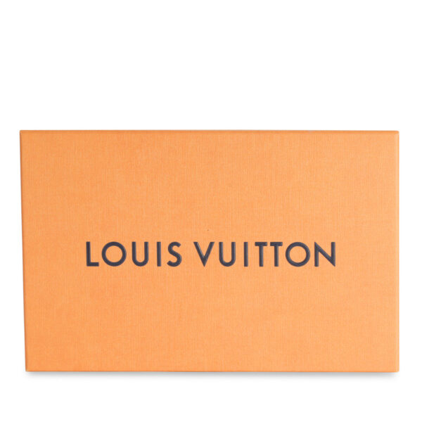 Louis Vuitton Mini Pochette Accessoires - By The Pool - Image 6