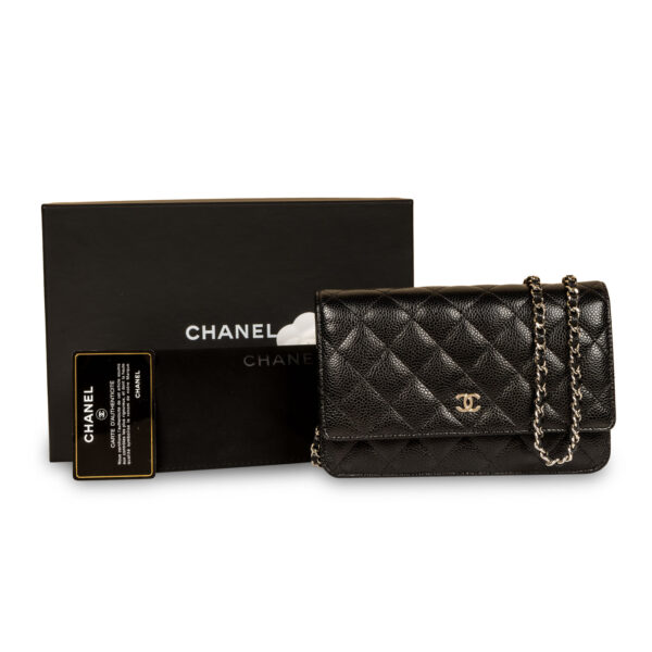 Chanel Wallet on Chain - SHW - Image 8