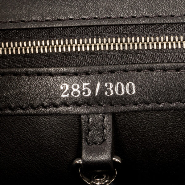 Louis Vuitton ArtyCapucines PM - Image 8